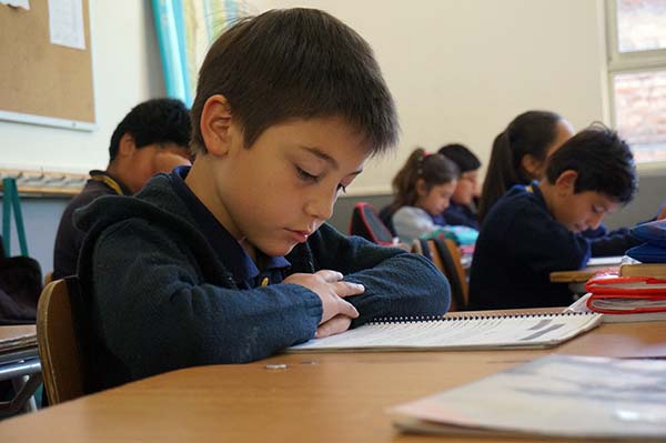 lectura liceo las mercedes CEAS