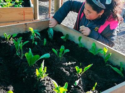 colegio nuestra señora de guadalupe