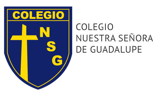 colegio nuestra señora de guadalupe
