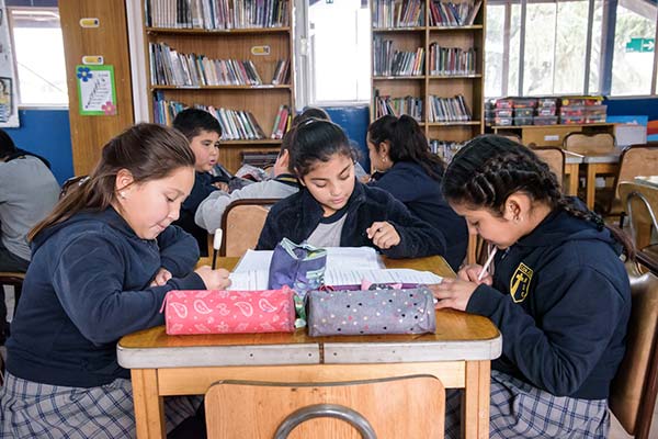 biblioteca colegio nuestra señora de guadalupe
