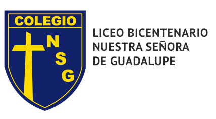 logo liceo bicentenario nuestra señora de guadalupe