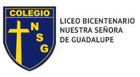 logo liceo bicentenario nuestra señora de guadalupe