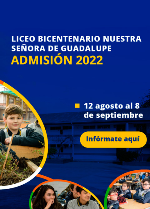admisión 2022 liceo bicentenario nuestra señora de guadalupe